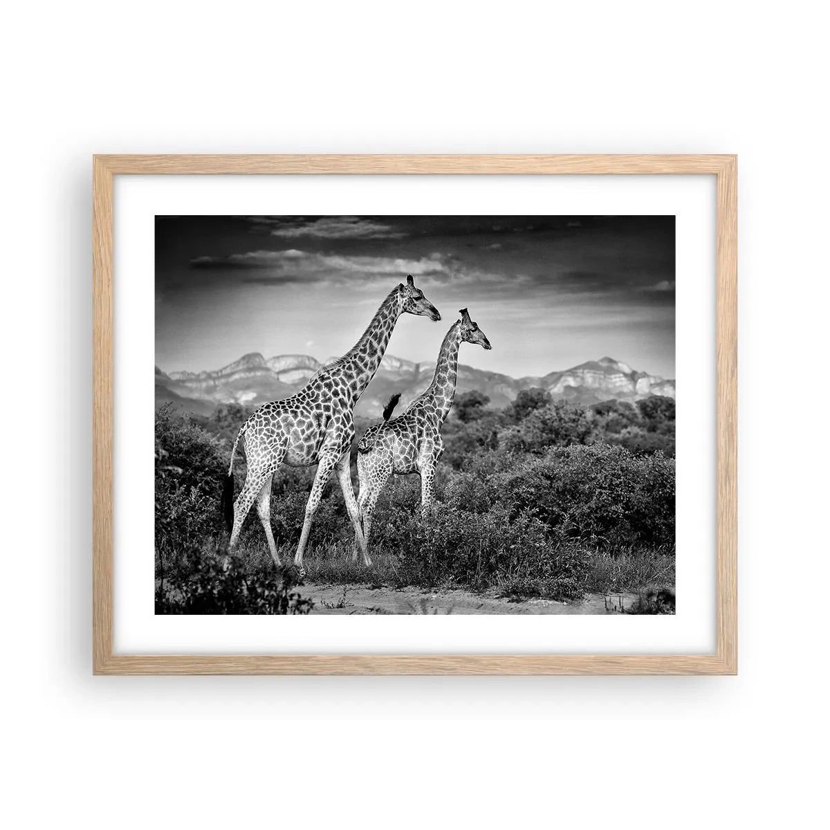 Poster in einem Rahmen aus heller Eiche - Hohe Sphären in Afrika - 50x40 cm