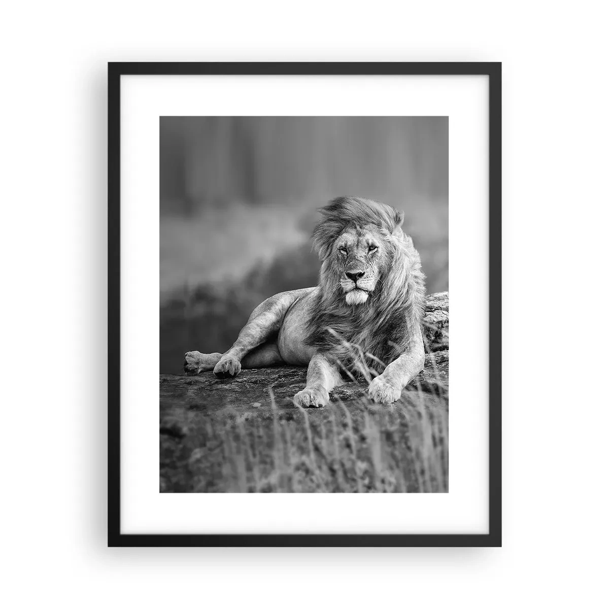 Poster in einem schwarzem Rahmen - Königliche Siesta - 40x50 cm