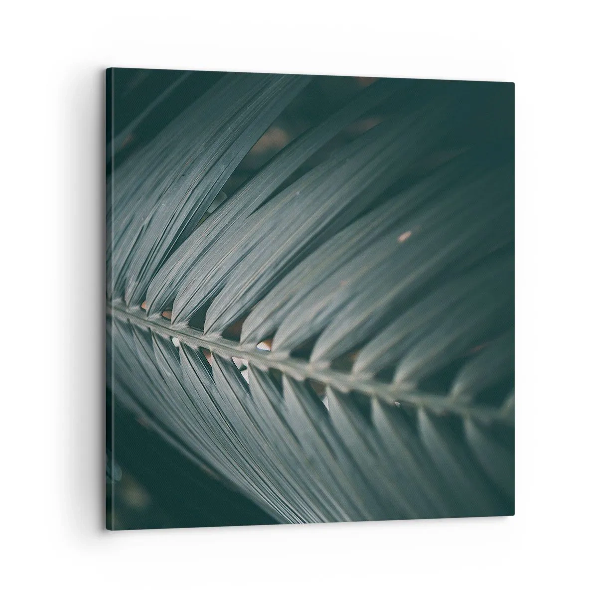 Bild auf Leinwand - Leinwandbild - Die Präzision der Natur - 60x60 cm