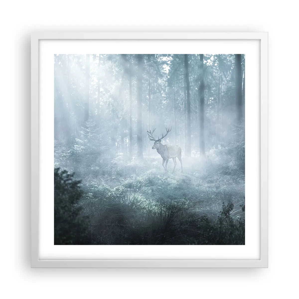 Poster in einem weißen Rahmen - Morgenvisite auf dem Grundstück - 50x50 cm