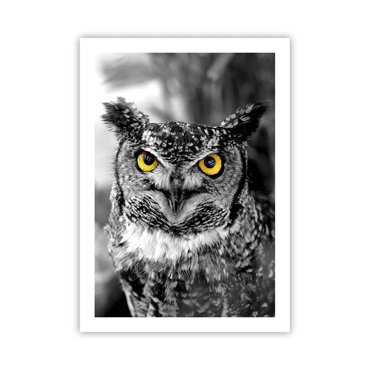 Poster - Eine Eule mit gelben Augen auf einem schwarz-weißen Hintergrund - 50x70cm - Nichts wird sich verstecken - Moderne Wanddekoration für Wohnzimmer und Schlafzimmer ARTTOR