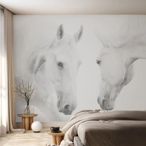 Fototapete Premium Sand - Weiße Pferde auf weißem Hintergrund in ruhiger Pose - 100x70cm - Ist das Freundschaft...? - Moderne Wanddekoration für Wohnzimmer und Schlafzimmer ARTTOR
