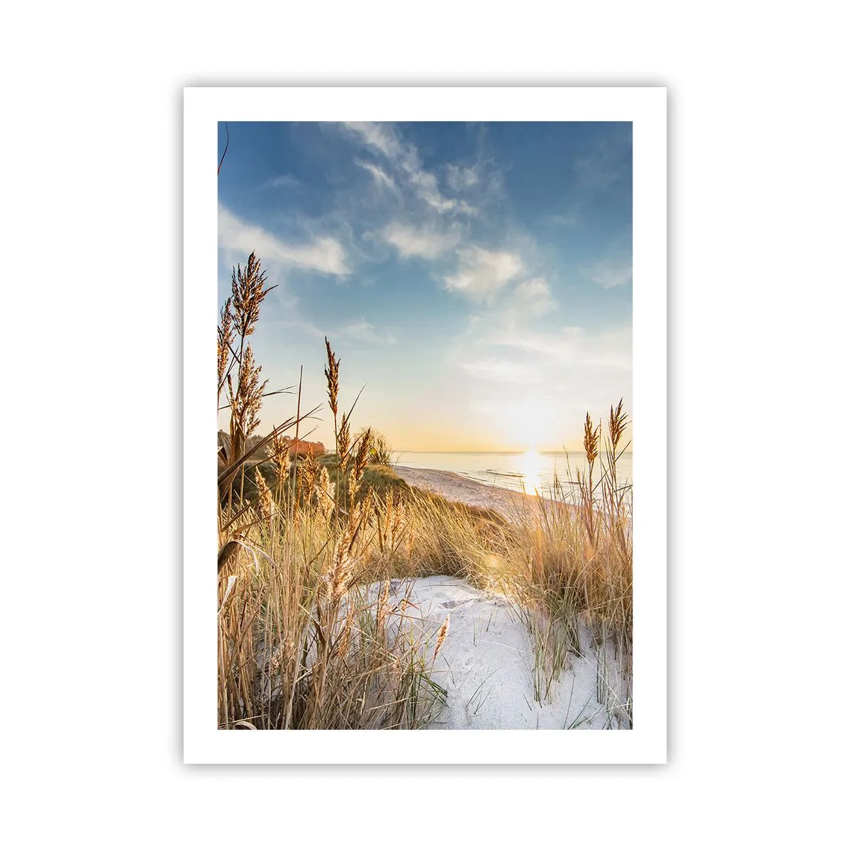 Poster - Sonnige Strandlandschaft mit Gräsern auf den Dünen - 50x70cm - Nordstrand - Moderne Wanddekoration für Wohnzimmer und Schlafzimmer ARTTOR