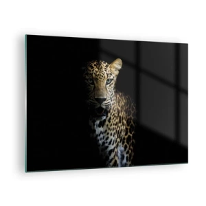 Glasbild - Bild auf glas - Löwe im Schatten - 70x50cm - Dunkle Schönheit - Moderne Wanddekoration für Wohnzimmer und Schlafzimmer ARTTOR