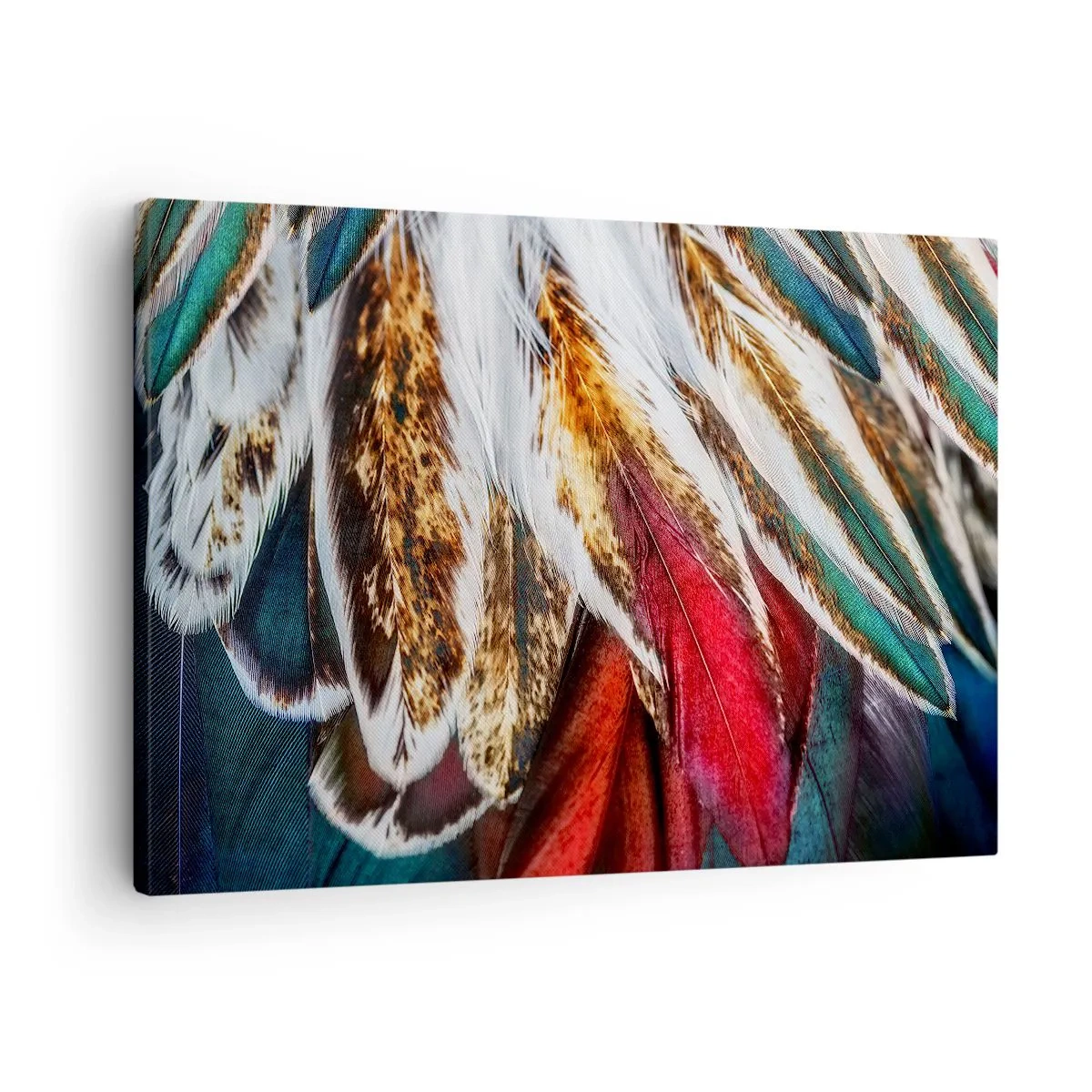 Bild auf Leinwand - Leinwandbild - Nahaufnahme von mehrfarbigen Federn in leuchtenden, intensiven Farben - 70x50cm - Geheimnisse des Fliegens - Moderne Wanddekoration für Wohnzimmer und Schlafzimmer ARTTOR