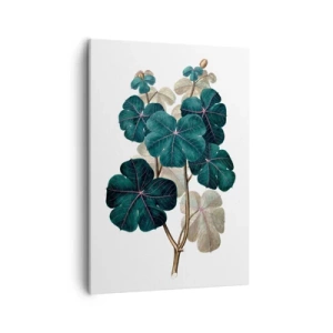 Bild auf Leinwand - Leinwandbild - Botanische Illustration mit Blättern in Grün- und Beigetönen - 50x70cm - Aus dem alten Herbarium - Moderne Wanddekoration für Wohnzimmer und Schlafzimmer ARTTOR