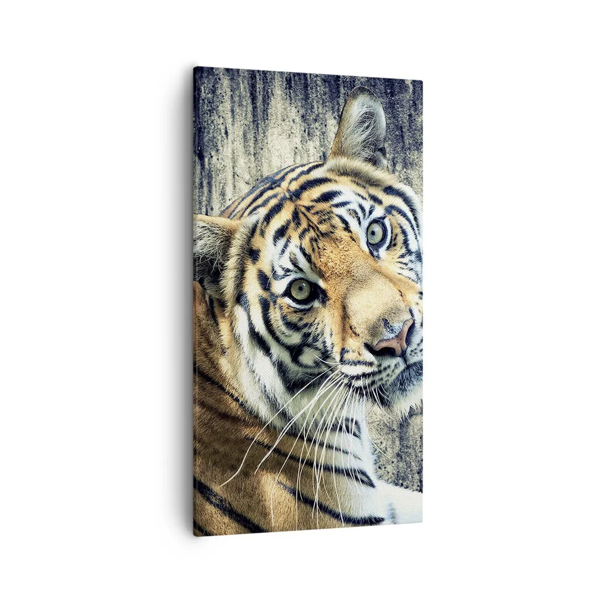 Bild auf Leinwand - Leinwandbild - Portrait in Lichtstrahlen - 55x100 cm