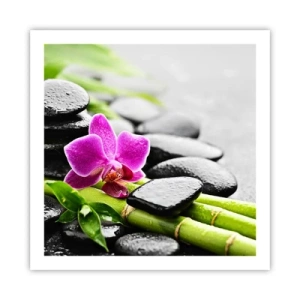 Poster - In ruhiger Balance - 60x60 cm