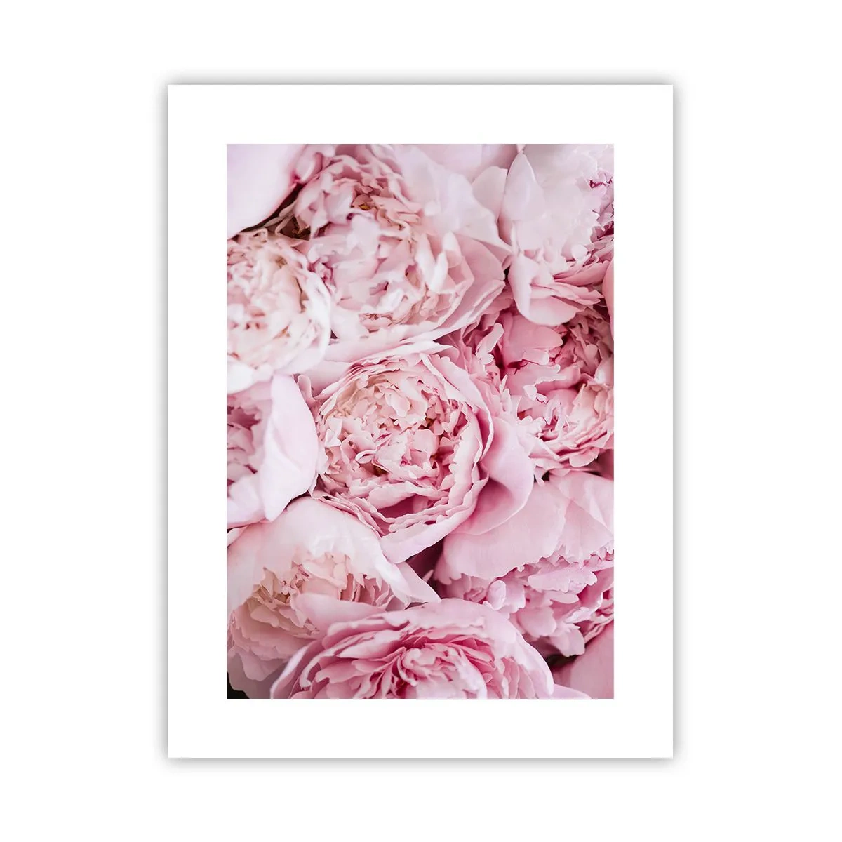 Poster - Anschmiegsam und duftend - 30x40 cm