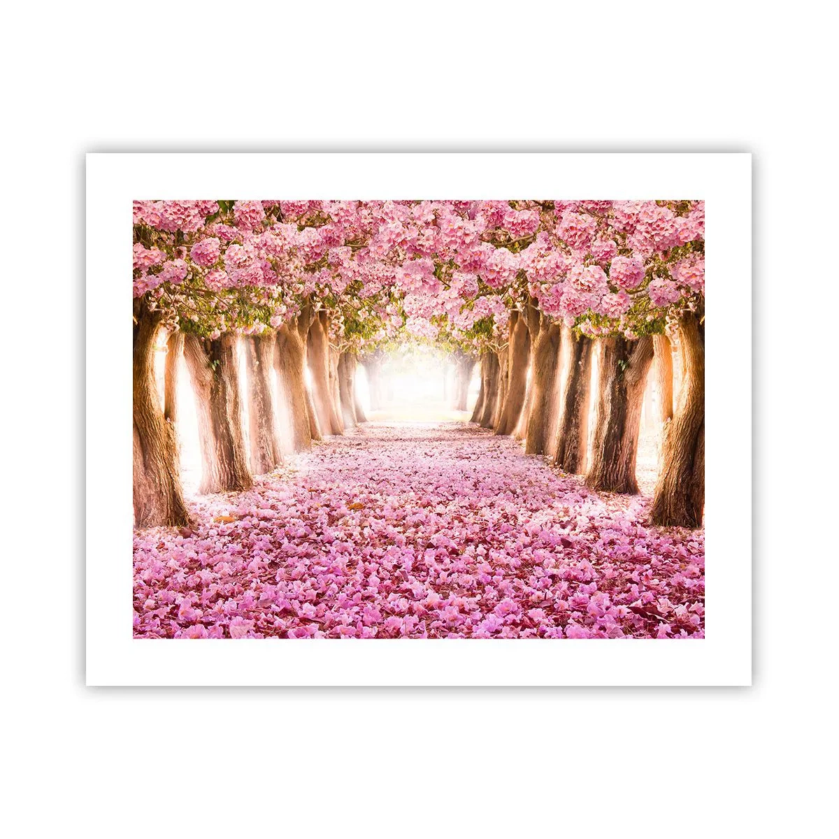 Poster - Der Weg ins Paradies - 50x40 cm