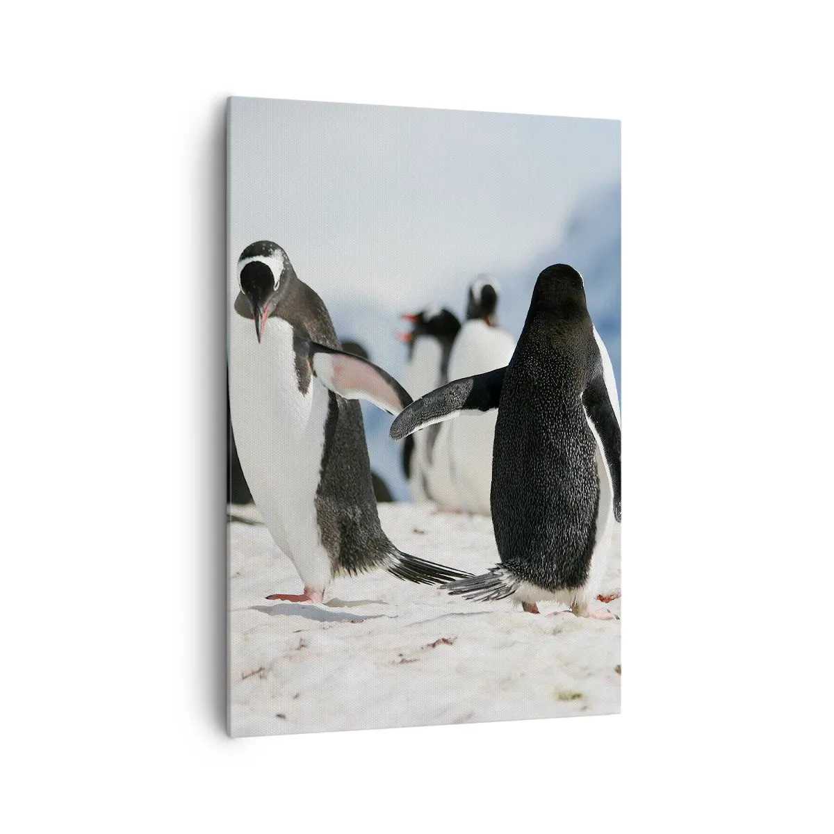 Bild auf Leinwand - Leinwandbild - Eine Gruppe Pinguine im Schnee in einer antarktischen Landschaft - 70x100cm - Tanzen im Schnee - Moderne Wanddekoration für Wohnzimmer und Schlafzimmer ARTTOR