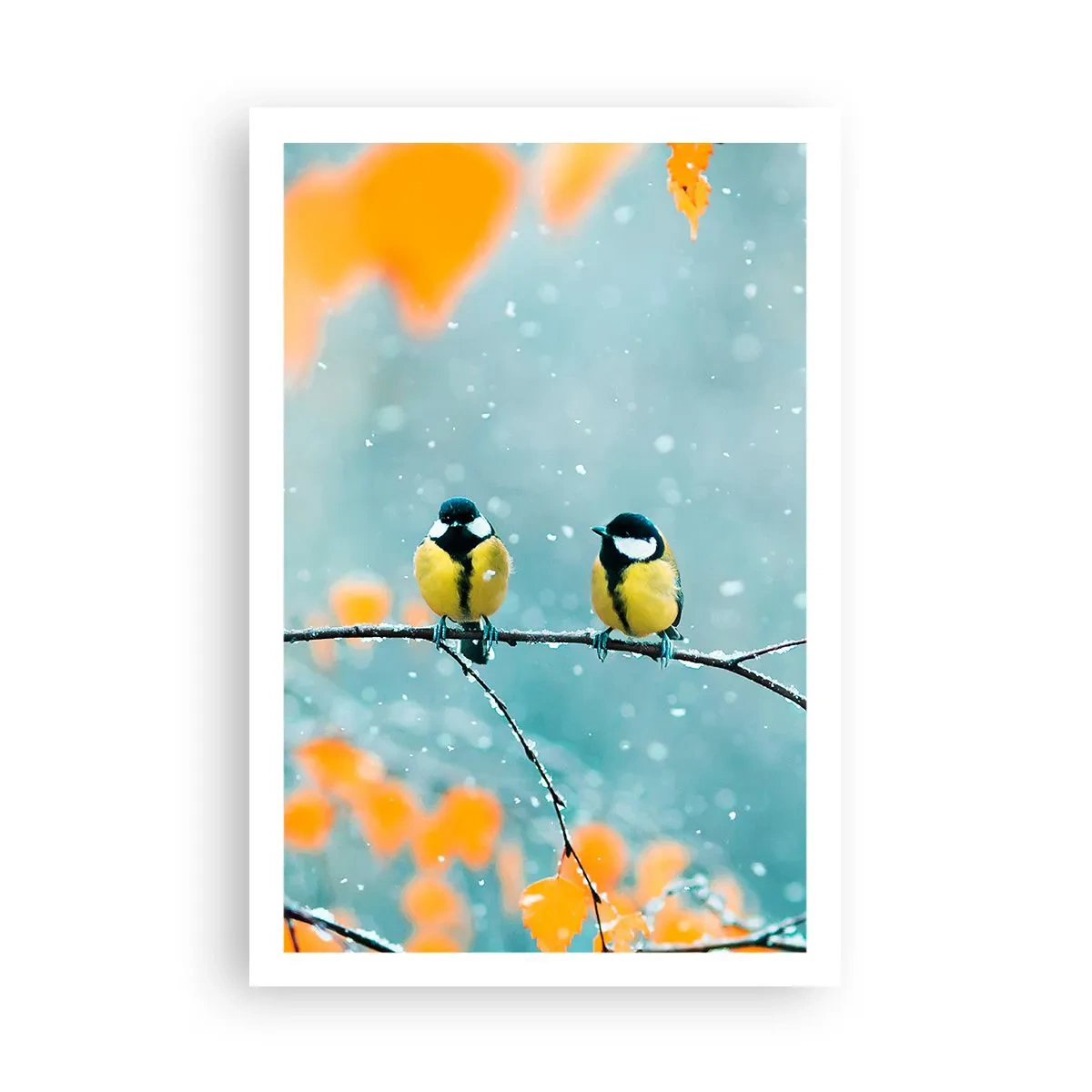 Poster - Vogelklatsch - 61x91 cm
