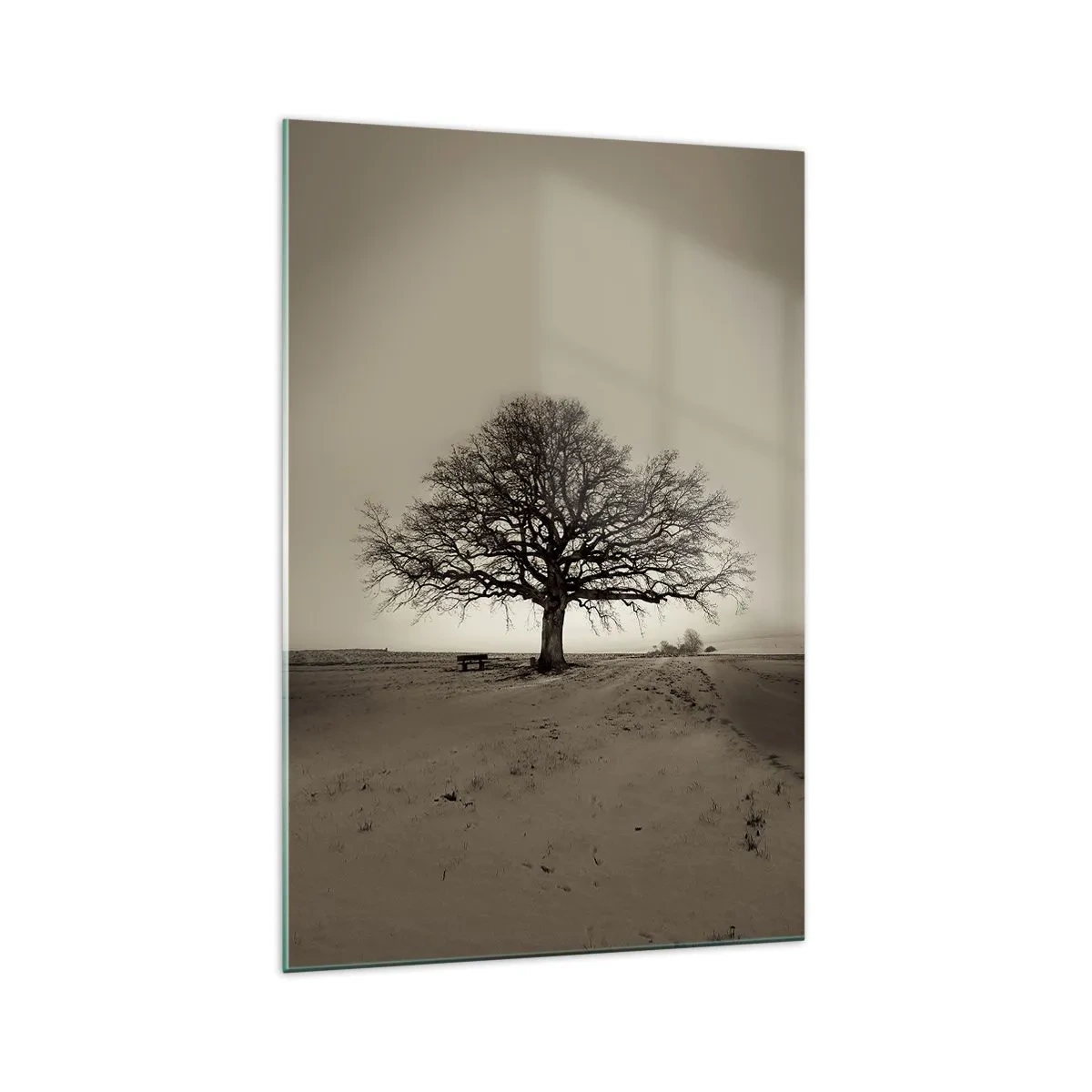 Glasbild - Bild auf glas - Ein einsamer Baum in einem Sepia-Feld - 70x100cm - Von hier zu Ewigkeit - Moderne Wanddekoration für Wohnzimmer und Schlafzimmer ARTTOR