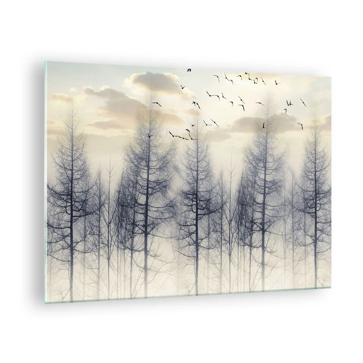Glasbild - Bild auf glas - Ein nebliger Wald mit Vögeln, beleuchtet von der aufgehenden Sonne - 70x50cm - Waldgeister - Moderne Wanddekoration für Wohnzimmer und Schlafzimmer ARTTOR