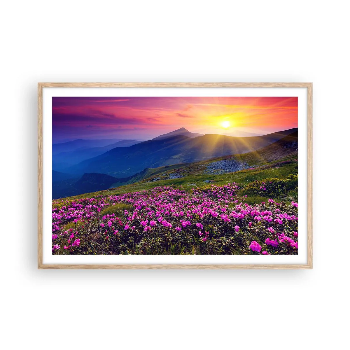 Poster in einem Rahmen aus heller Eiche - … Und drumherum duftet es nach Latschenkiefer und dem Duft von Kräutern - 91x61 cm