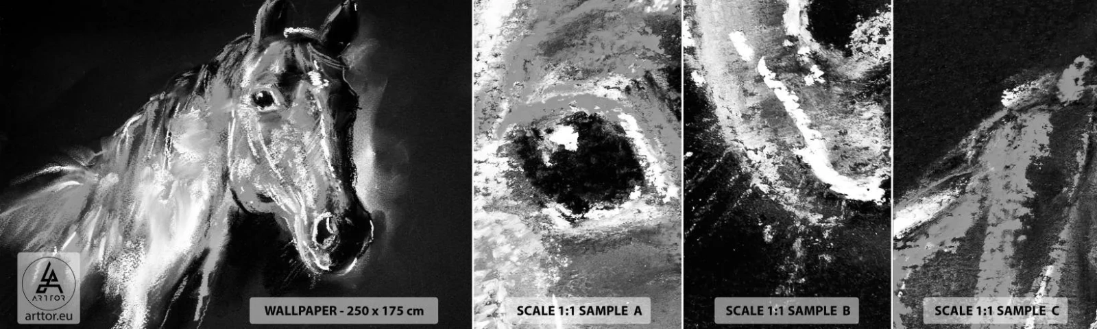 Fototapetenmuster Standard Eco - Das Leuchten einer edlen Seele - Tiere, Pferd, Stute - 100x30 cm