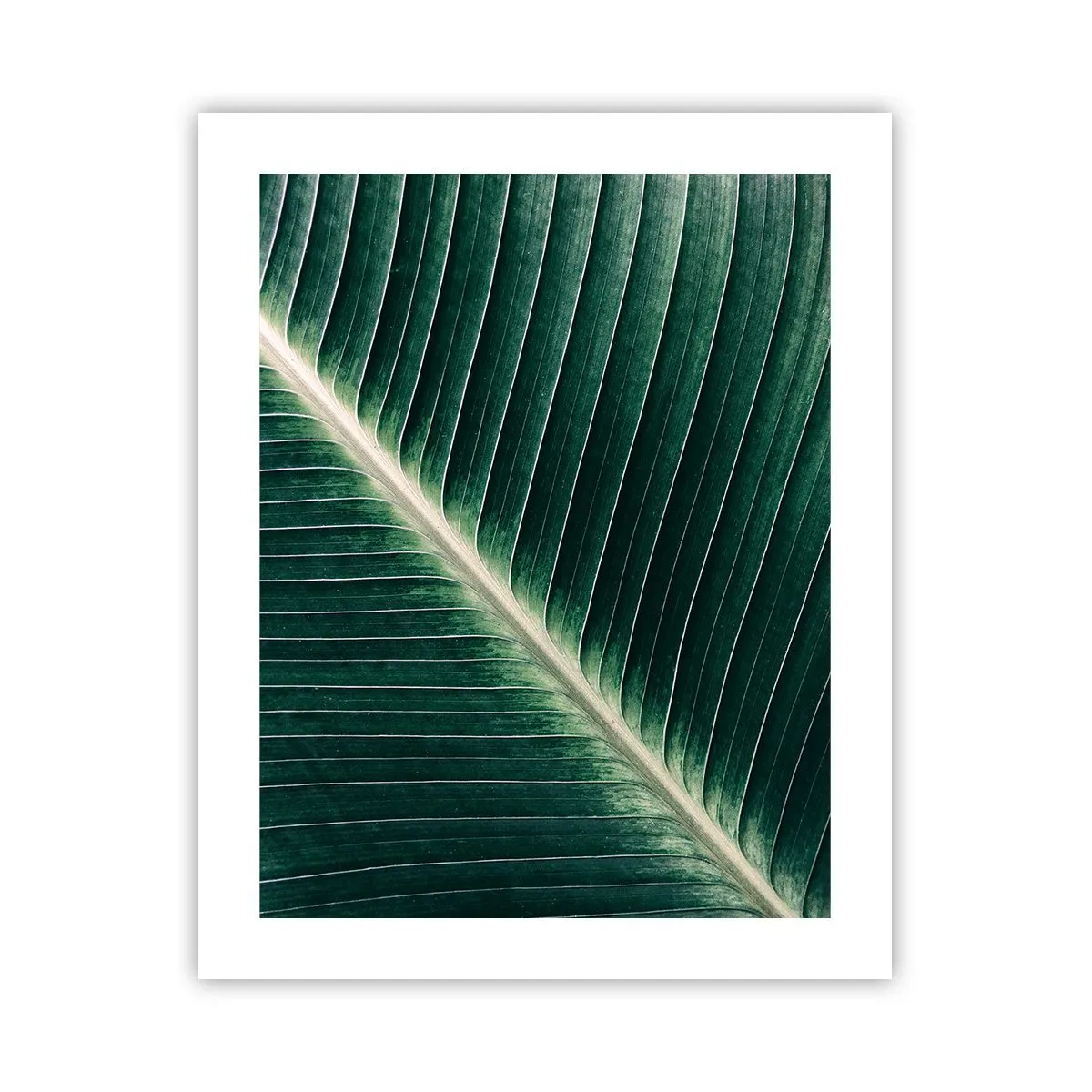 Poster - Rhythmus der Natur - 40x50 cm