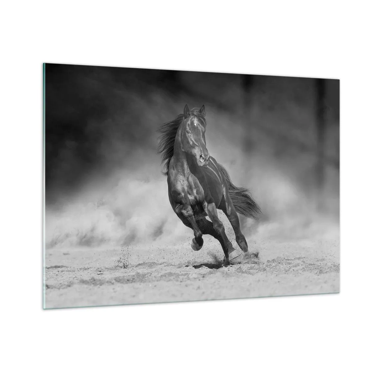 Glasbild - Bild auf glas - Ein schwarzes Pferd, das in Schwarz und Weiß über den Sand galoppiert. - 100x70cm - Würdig des Emirs selbst - Moderne Wanddekoration für Wohnzimmer und Schlafzimmer ARTTOR