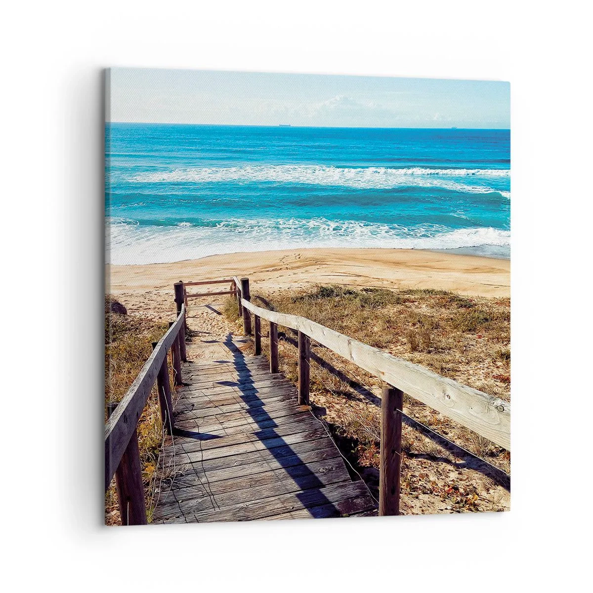 Bild auf Leinwand - Leinwandbild - Lauf! - 50x50 cm