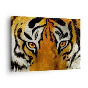 Bild auf Leinwand - Leinwandbild - Nahaufnahme eines Tigers mit intensivem Blick - 70x50cm - Schrecklich und schön - Moderne Wanddekoration für Wohnzimmer und Schlafzimmer ARTTOR