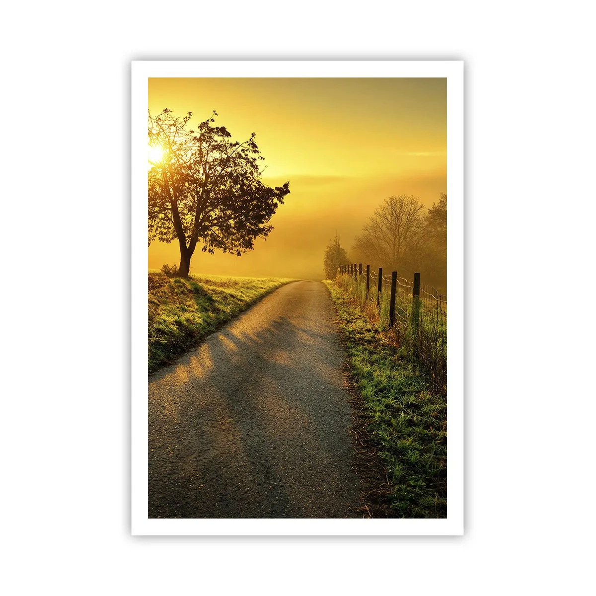 Poster - Honig-Nachmittag - 70x100 cm