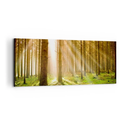 Bild auf Leinwand - Leinwandbild - Die Elfen werden bald erscheinen - 100x40 cm