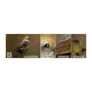 Fototapeten Muster Premium Canvas - Ein Spatz, ein kleines Vögelchen - Abstraktion, Vogel, Natur - 100x30 cm