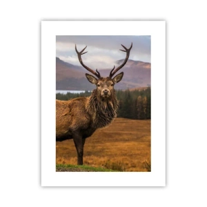 Poster - Die Majestät der Natur - 30x40 cm