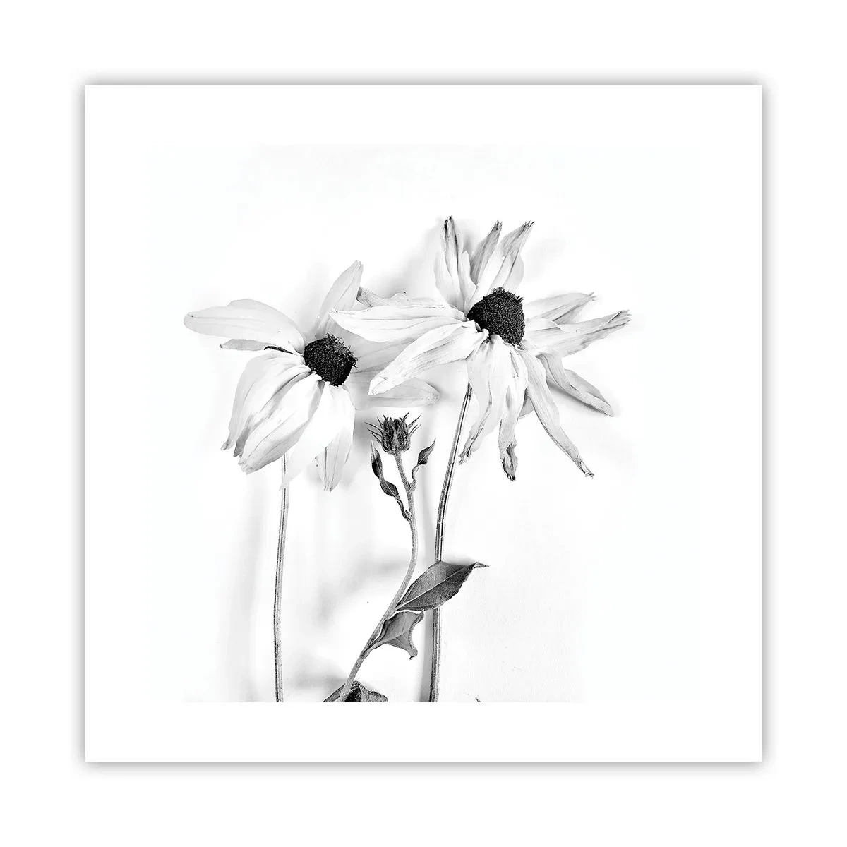 Poster - Niemand will allein sein - 40x40 cm