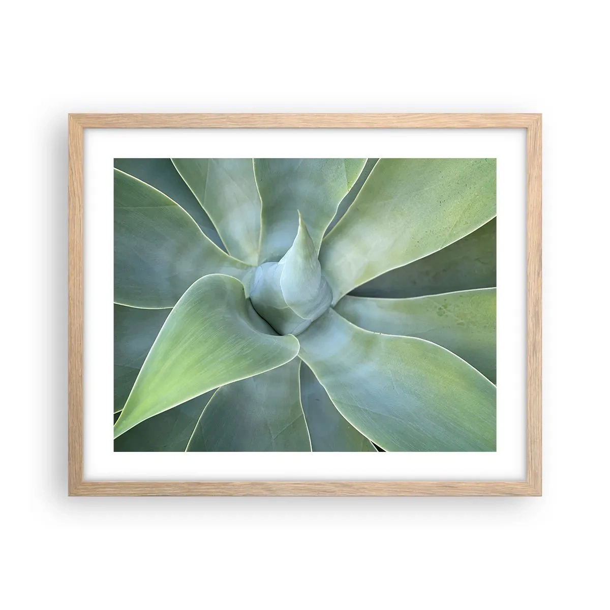 Poster in einem Rahmen aus heller Eiche - Geburt des Grüns - 50x40 cm