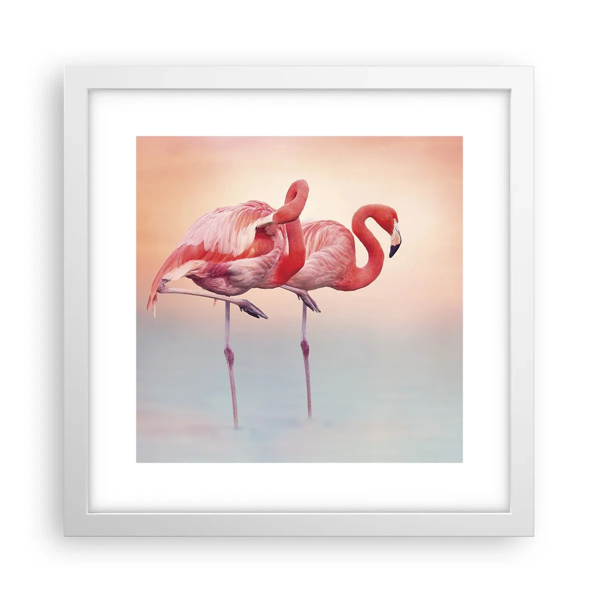 Poster in einem weißen Rahmen - Die Farbe der untergehenden Sonne - 30x30 cm