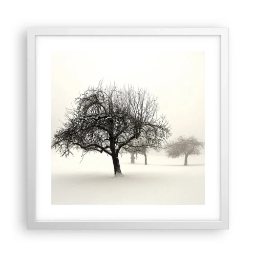 Poster in einem weißen Rahmen - Winterschlaf - 40x40 cm