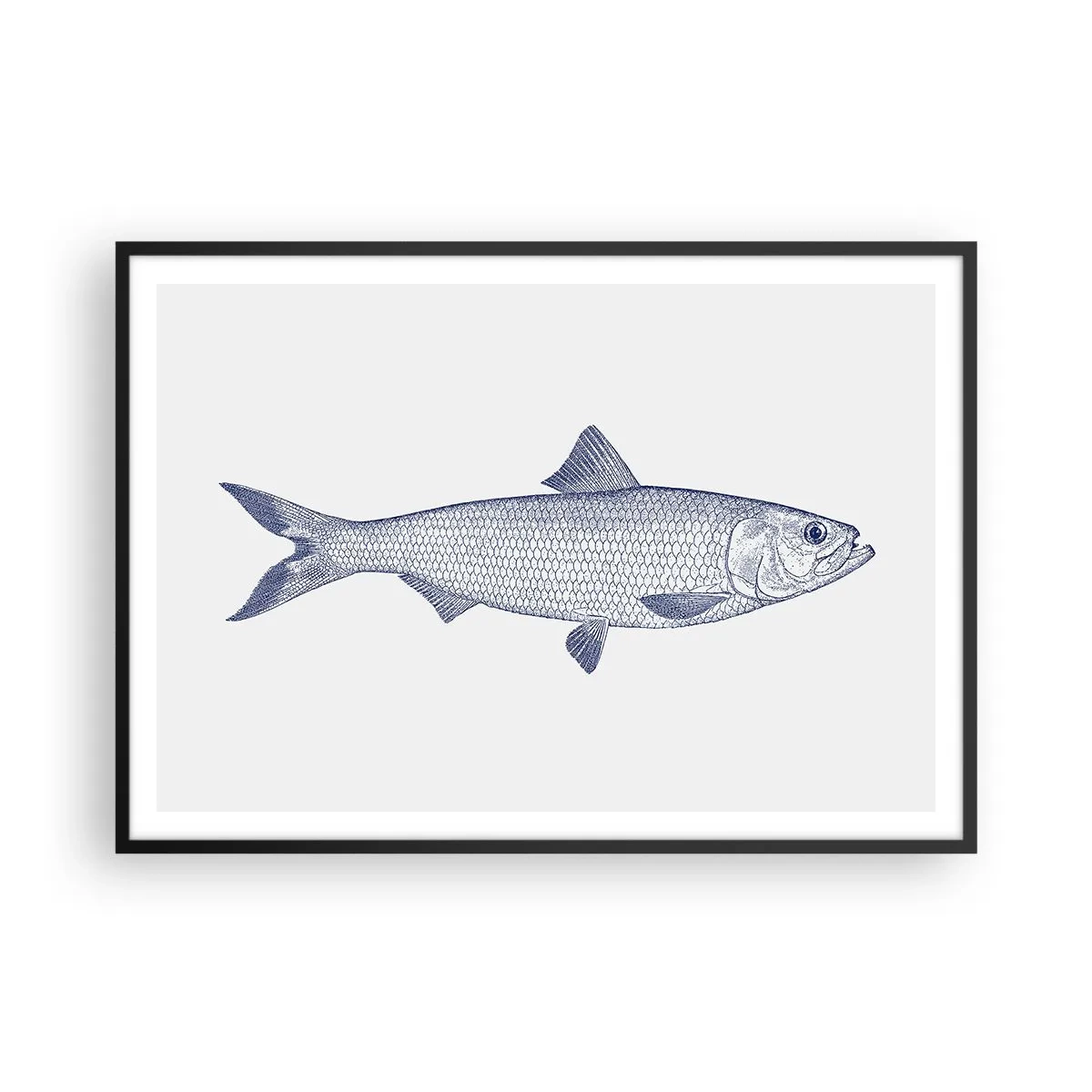 Poster in einem schwarzem Rahmen - Illustration eines Fisches in Blautönen auf hellem Hintergrund - 100x70cm - Grüße aus den nördlichen Meeren - Moderne Wanddekoration für Wohnzimmer und Schlafzimmer ARTTOR