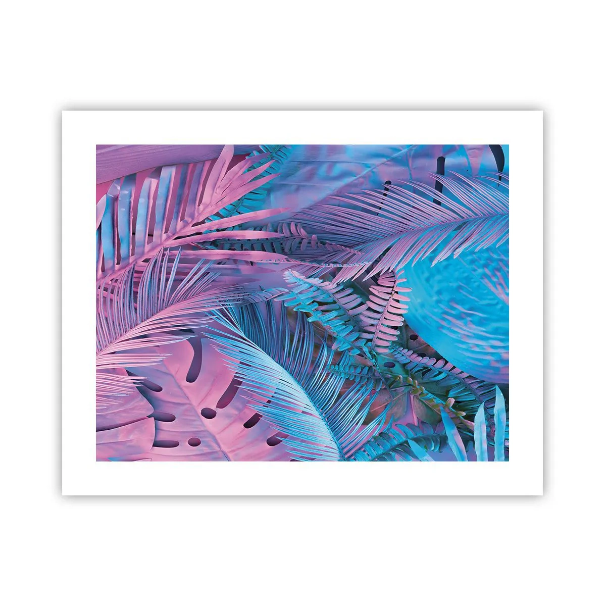 Poster - Tropen in Rosa und Blau - 50x40 cm
