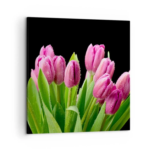 Bild auf Leinwand - Leinwandbild - Lila Frühlingsfreude - 50x50 cm