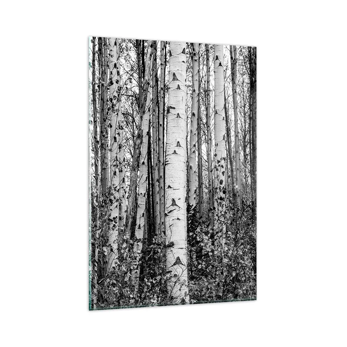 Glasbild - Bild auf glas - Schwarz-weiße Birken im Wald - 80x120cm - Birkenkolonnade - Moderne Wanddekoration für Wohnzimmer und Schlafzimmer ARTTOR