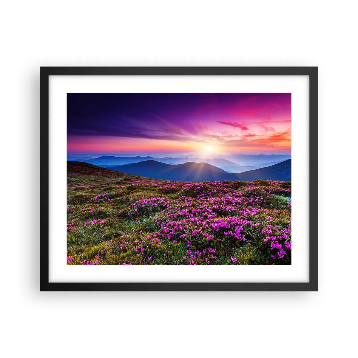 Poster in einem schwarzem Rahmen - Kräuter dufteten nach frischen Trauben von den Feldern - 50x40 cm