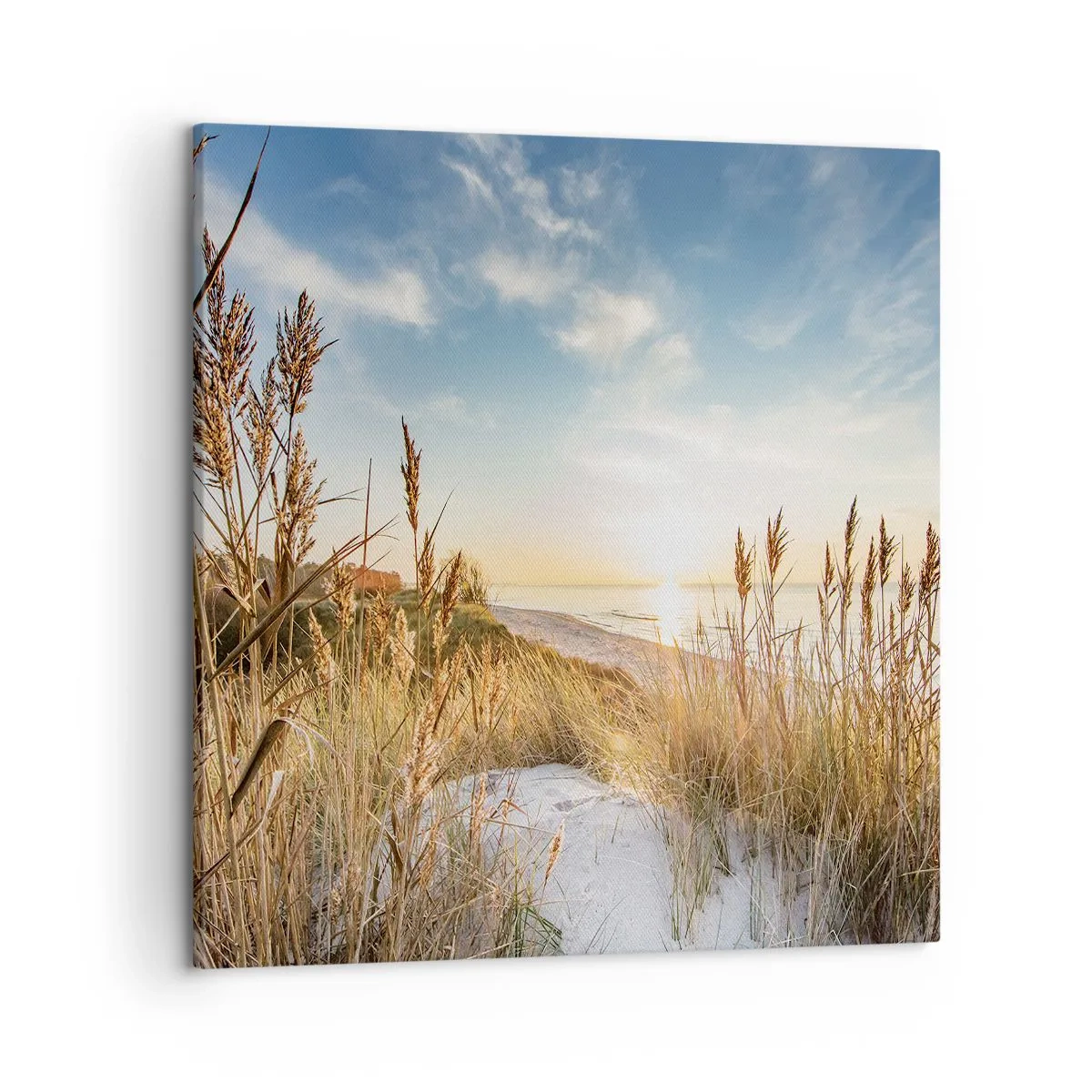Bild auf Leinwand - Leinwandbild - Nordstrand - 50x50 cm