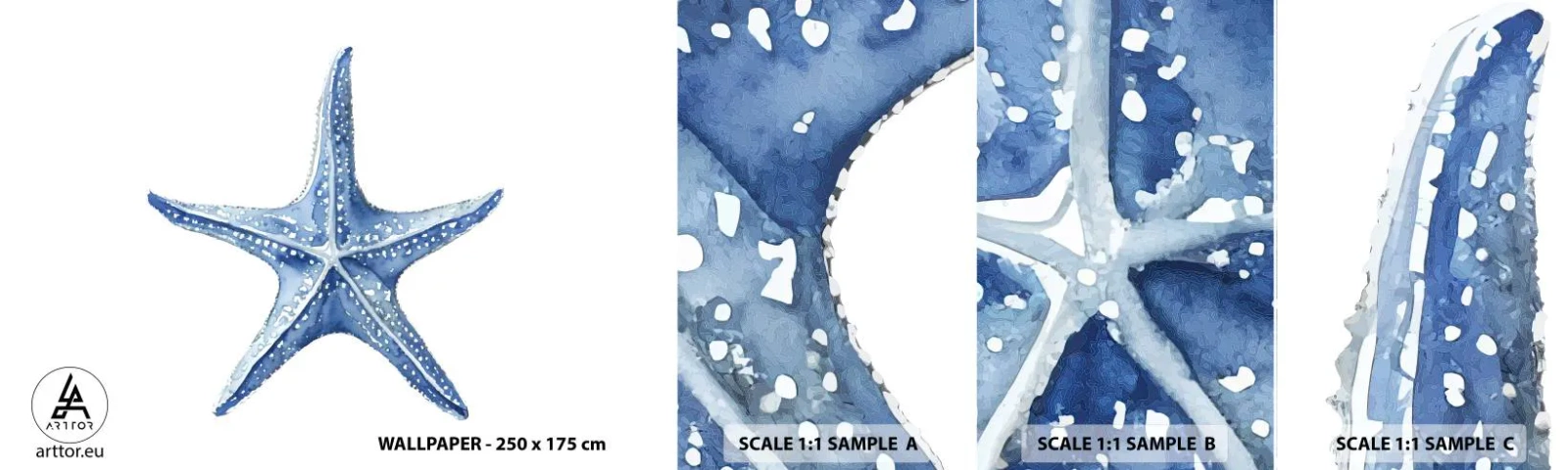 Fototapeten Muster Selbstklebend Deluxe Sticker - Stern des Meeres - Seestern, Strand, Korallenriff - 100x30 cm