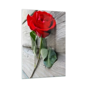 Glasbild - Bild auf glas - Rote Rose auf einem Holzbrett - 50x70cm - Eine Studie in Scharlachrot - Moderne Wanddekoration für Wohnzimmer und Schlafzimmer ARTTOR