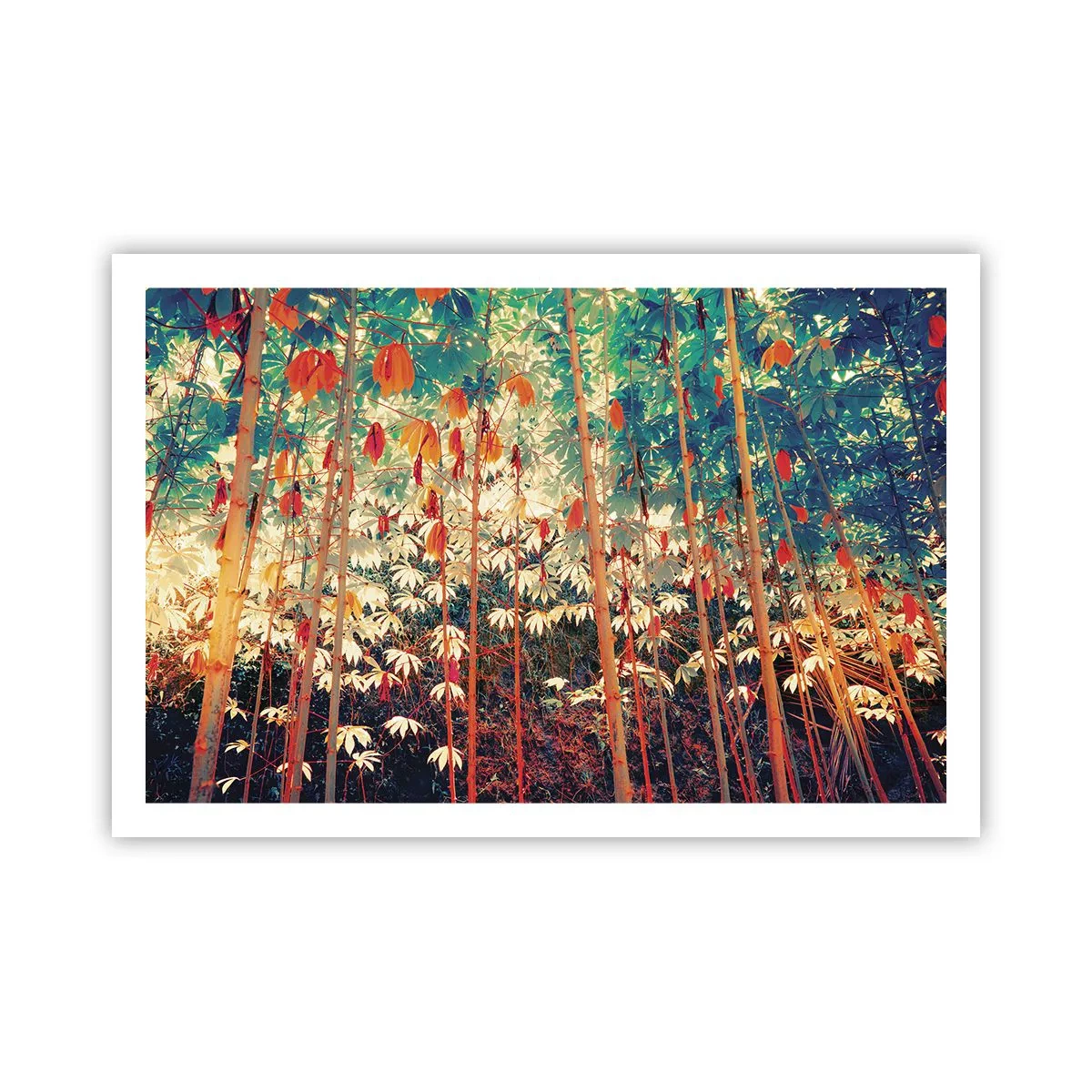 Poster - Das geheime Leben der Blätter - 91x61 cm