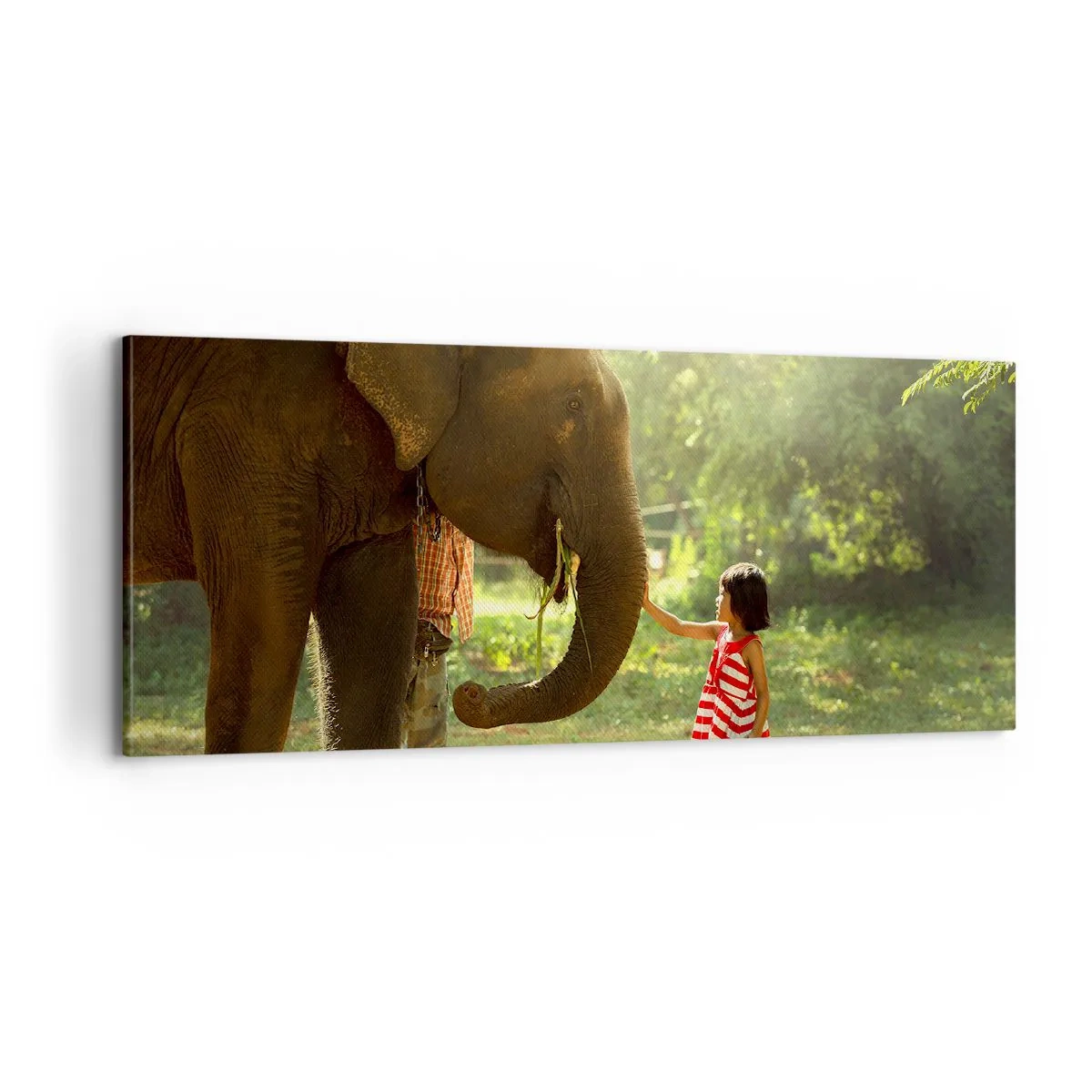 Bild auf Leinwand - Leinwandbild - Die Stärke der Freundschaft - 100x40 cm