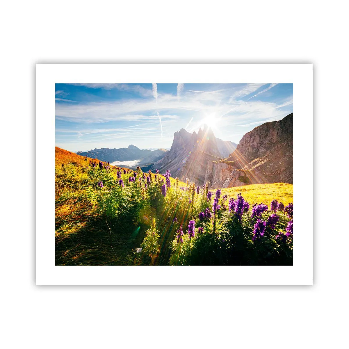 Poster - Das geheime Leben der Kräuter - 50x40 cm