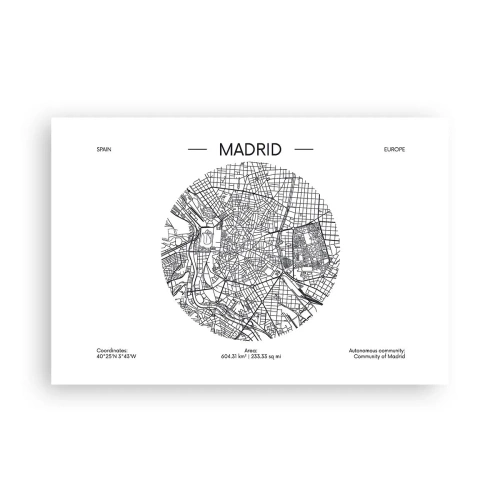 Poster - Anatomie von Madrid - 91x61 cm