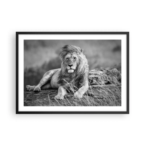 Poster in einem schwarzem Rahmen - Löwe ruht auf einem Felsen im monochromen Stil - 70x50cm - Königliche Siesta - Moderne Wanddekoration für Wohnzimmer und Schlafzimmer ARTTOR