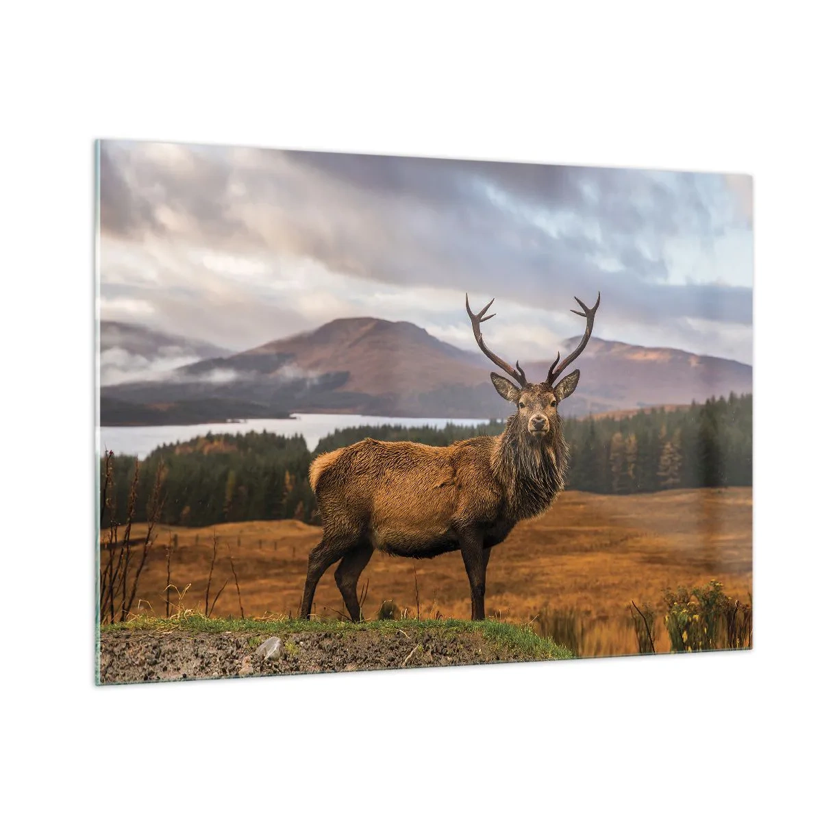 Glasbild - Bild auf glas - Hirsche vor der Kulisse malerischer Berge und Wälder - 100x70cm - Die Majestät der Natur - Moderne Wanddekoration für Wohnzimmer und Schlafzimmer ARTTOR