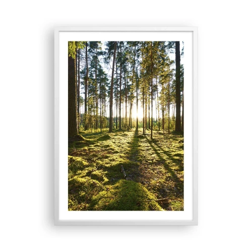 Poster in einem weißen Rahmen - … Hinter den sieben Wäldern - 50x70 cm