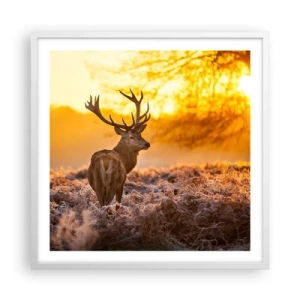 Poster in einem weißen Rahmen - König des Herbstwaldes - 60x60 cm