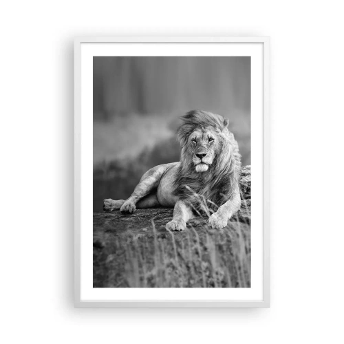 Poster in einem weißen Rahmen - Königliche Siesta - 50x70 cm