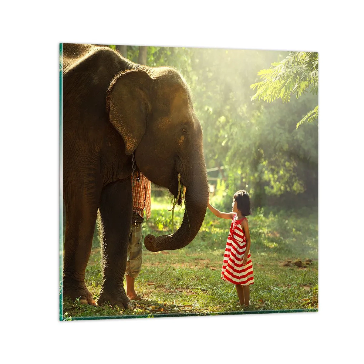 Glasbild - Bild auf glas - Die Stärke der Freundschaft - 50x50 cm